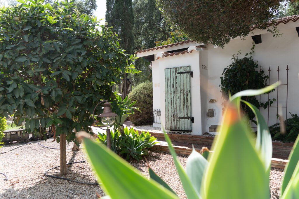 Ansicht_Garten